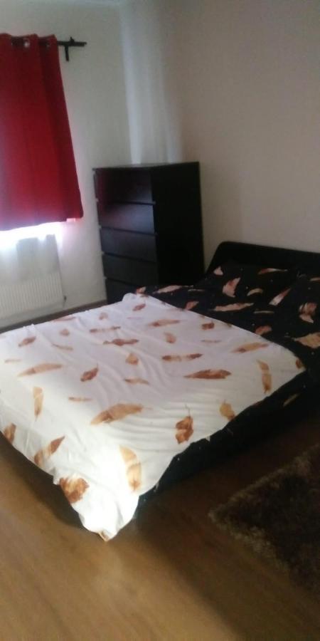 Apartament Marasesti Μπάια Μάρε Εξωτερικό φωτογραφία